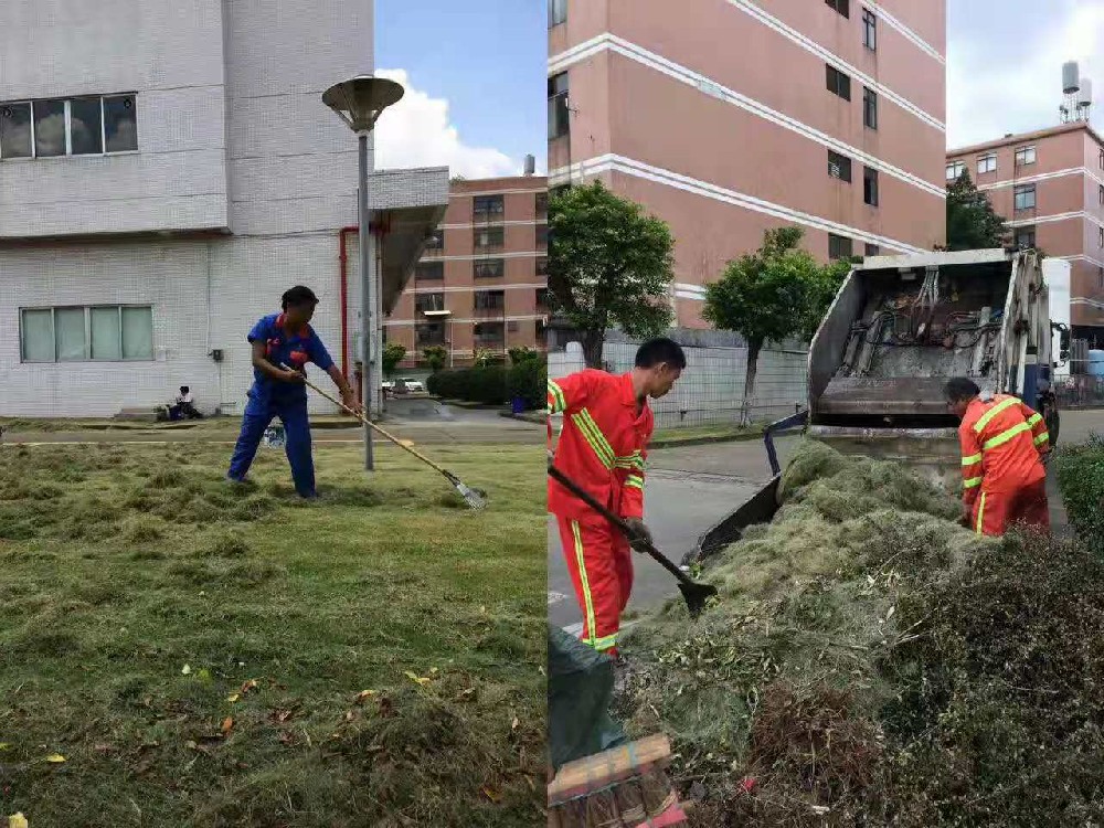 佛山工厂厂区绿化修剪养护